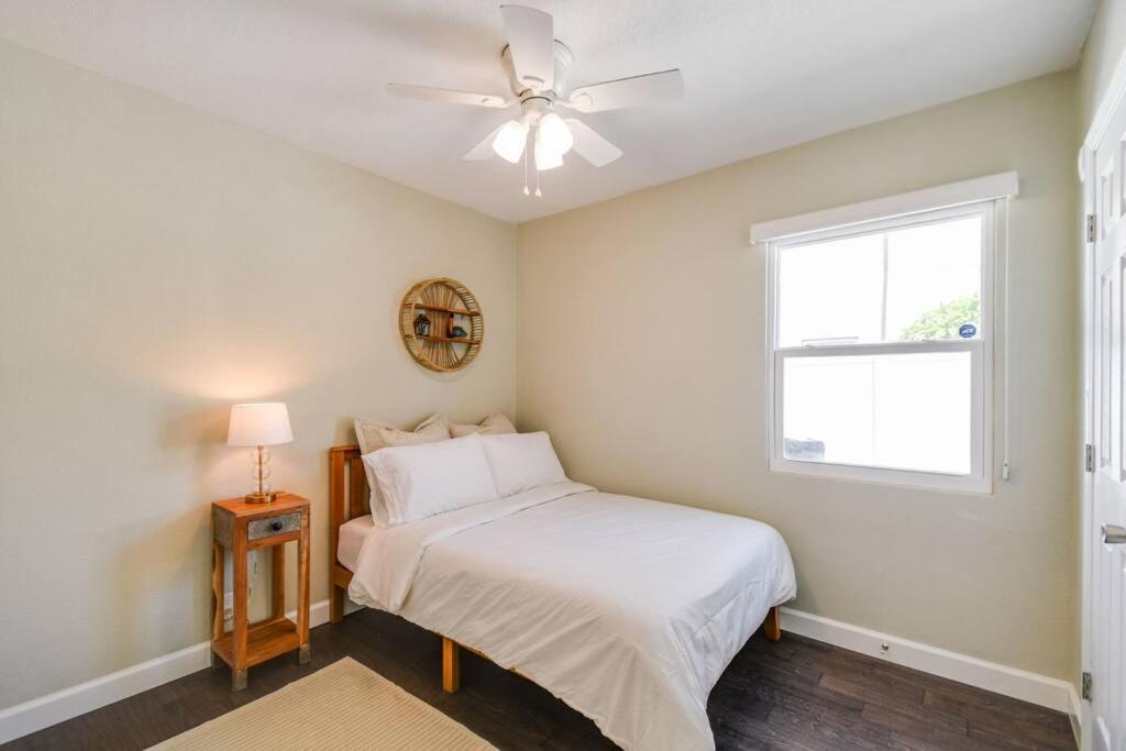 Luxury Home In The Heart Of South Tampa & Pool! Eksteriør bilde